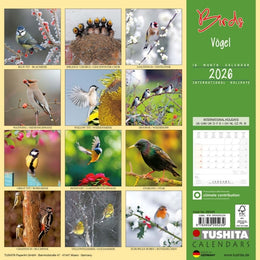 2026 Wall Calendar - Birds Vogel