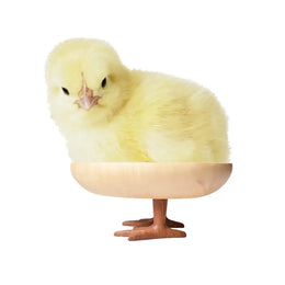 Senser Woodcraft Walking Egg Tray - Large