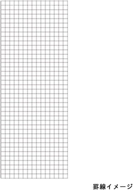 Mnemosyne N162 Long Memo Pad - Grid