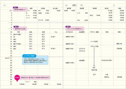 Laconic Style A5 Notebook Refill - Spreadsheet