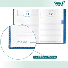 Quo Vadis 2026 Notor Club Grey