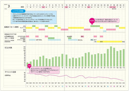 Laconic Style A5 Notebook Refill - Gantt Chart