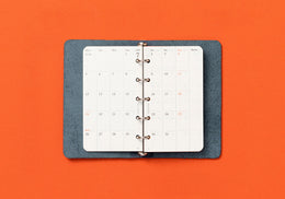 PLOTTER Monthly Schedule Refill 2026 (Mini 5 Size)
