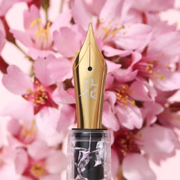 Esterbrook x BUNGUBOX Estie Fountain Pen - The Kachofugetsu Flower - Cherry Blossom (Limited Edition)