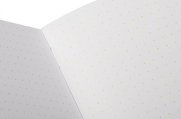 Field Notes Memo Book - Summer 2026 Paletas 3-Pack B (71st Quarterly Limited Edition)