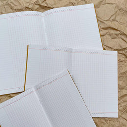 Luddite Function Notebook B5 - Visualizer