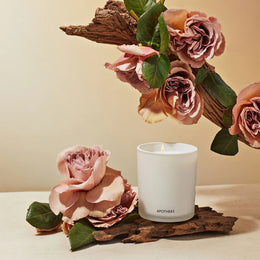 Apotheke Santal Rock Rose Candle