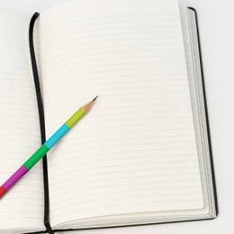 Blackwing Volume 343 Notebook