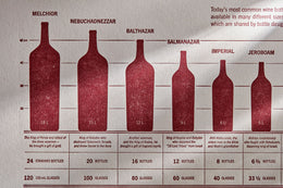 33Books Wine Bottle Taxonomy Print