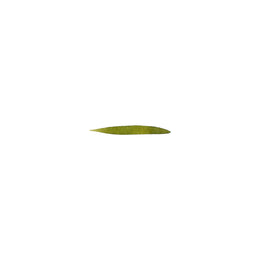 Graf Von Faber Castell Ink Pen Refill Cartridges (6 Pack) - Olive Green