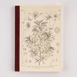 Hobonichi A5 Graph Notebook - Tomitaro Makino: Yamazakura