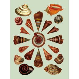 The Antiquarian Sticker Book