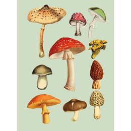 The Antiquarian Sticker Book