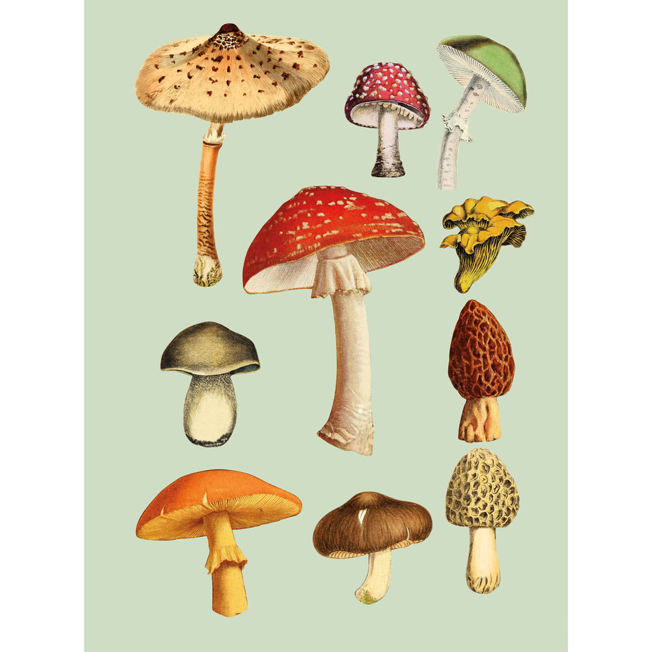 The Antiquarian Sticker Book