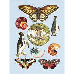 The Antiquarian Sticker Book