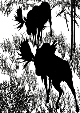Silhouettes by Ugo Mochi - Boxed Stationery